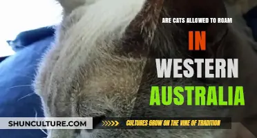Exploring Cat Roaming Laws in Western Australia