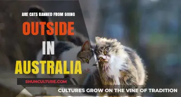 Are Cats Banned from Going Outside in Australia? The Truth