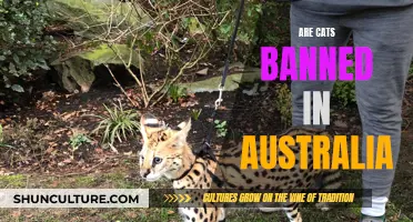 Why Are Cats Banned in Australia?
