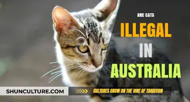 Are Cats Illegal in Australia? Unraveling the Truth Behind the Myth