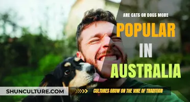 Cats vs Dogs: Australia's Favorite Pet