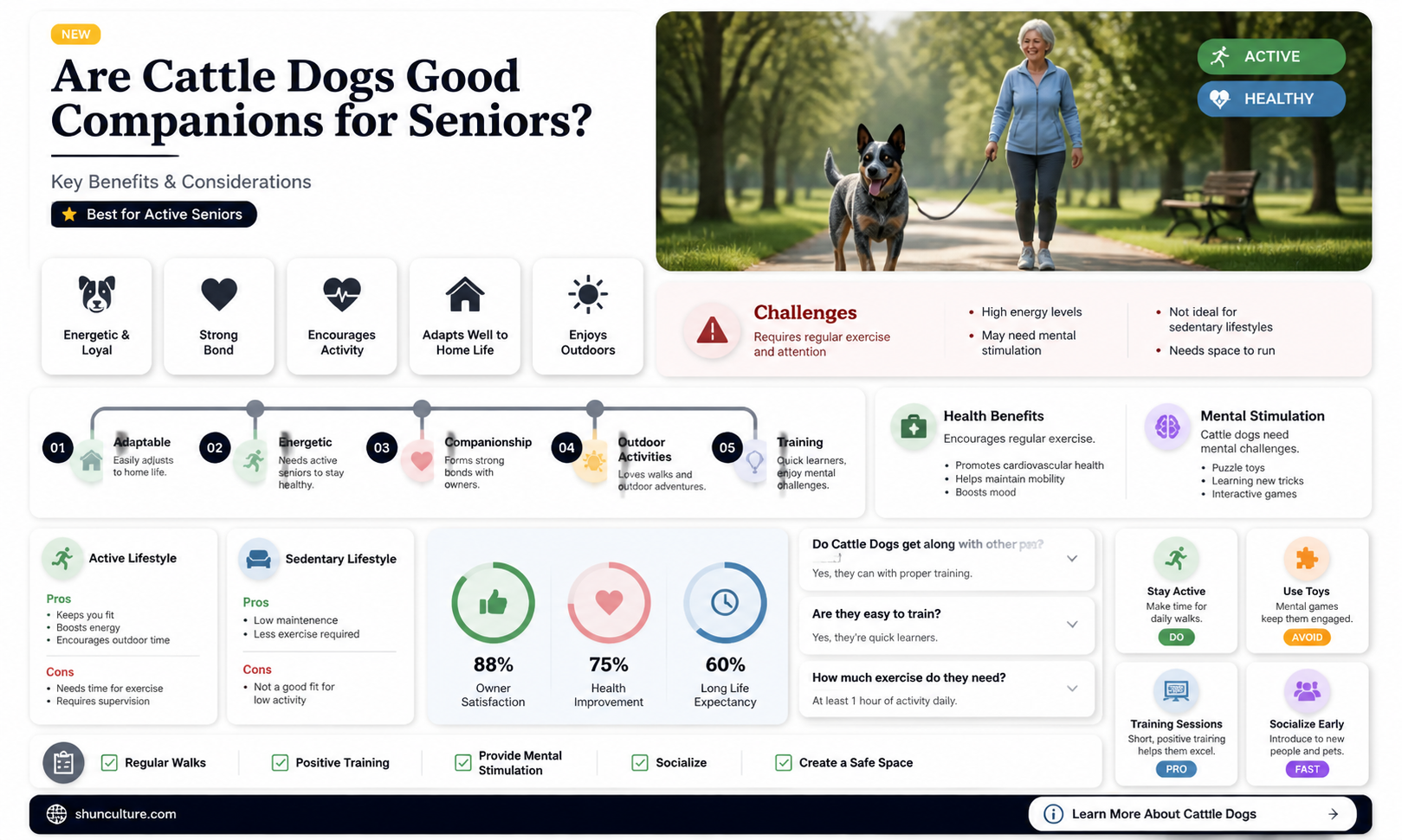 are australia catyle dogs goid for older people