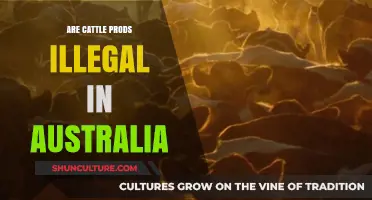 Are Cattle Prods Legal in Australia? Understanding the Current Laws
