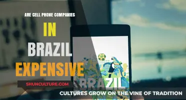 Are Brazilian Cell Phone Plans Overpriced? A Cost Analysis