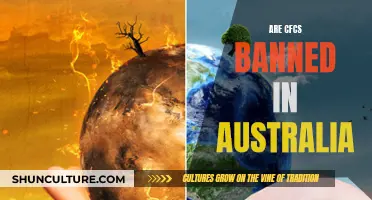 Australia's Ban on CFCs: Effective Action