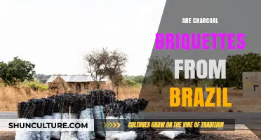 Exploring the Origin: Are Brazilian Charcoal Briquettes Sustainable?