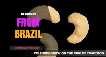 Are Cashews from Brazil? Uncovering the Origin of This Nutty Delight