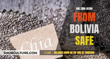 Chia Seeds from Bolivia: Are They Safe to Eat?