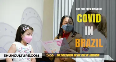 COVID-19's Impact: Are Brazilian Children at Risk of Fatalities?