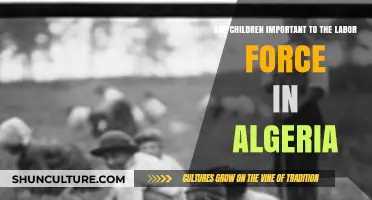 Child Labor in Algeria: Impact and Importance in the Workforce