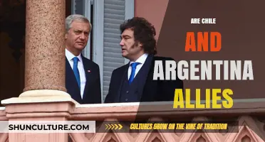 Exploring the Complex Alliance Between Chile and Argentina