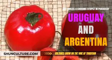 Exploring the Culinary Significance of Chilies in Paraguay, Uruguay, and Argentina