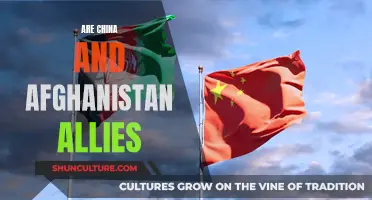 The Complex China-Afghanistan Relationship: Allies or Opportunists?