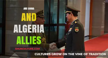 China and Algeria: Strategic Partners or Political Allies?