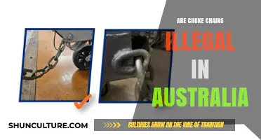 Are Choke Chains Illegal in Australia? Understanding the Law