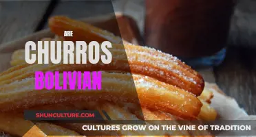 Churros: A Tasty Treat with Bolivian Roots?