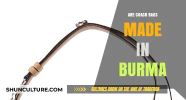 Unveiling the Truth: Are Coach Bags Really Made in Burma?