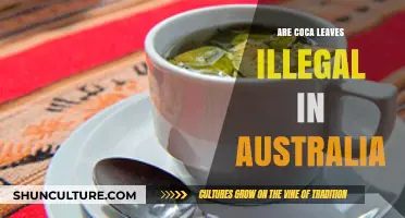 Are Coca Leaves Legal in Australia? Exploring the Current Laws