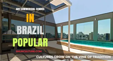 Are Commercial Condos in Brazil a Popular Investment Choice?