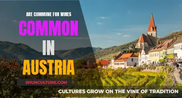 Wine Appreciation: Austrian Vineyard Communes Explored