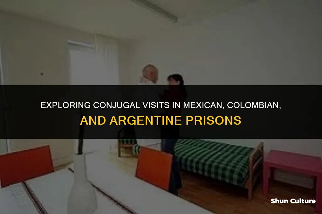 are conjugal visits common in mexican columbian argentinean prisons