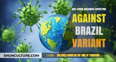 COVID Vaccines: Effectiveness Against the Brazil Variant Explained