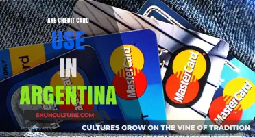 Exploring Credit Card Usage Trends in Argentina: A Comprehensive Guide