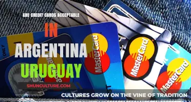 Exploring Payment Options: Credit Cards in Argentina and Uruguay