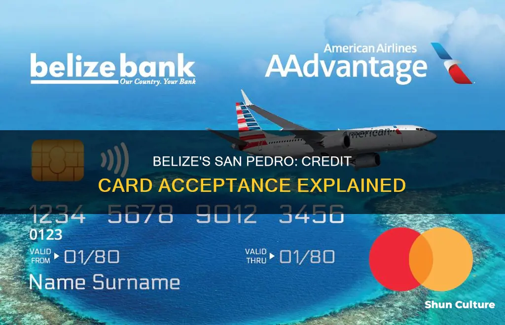 are credit cards accepted in san pedro belize