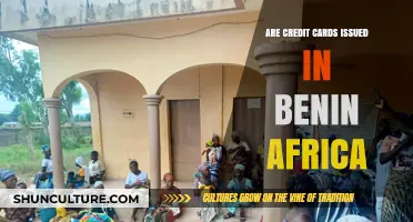 Exploring Credit Card Availability in Benin, Africa: A Comprehensive Guide