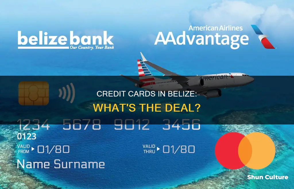 are credit cards widely accepted in belize