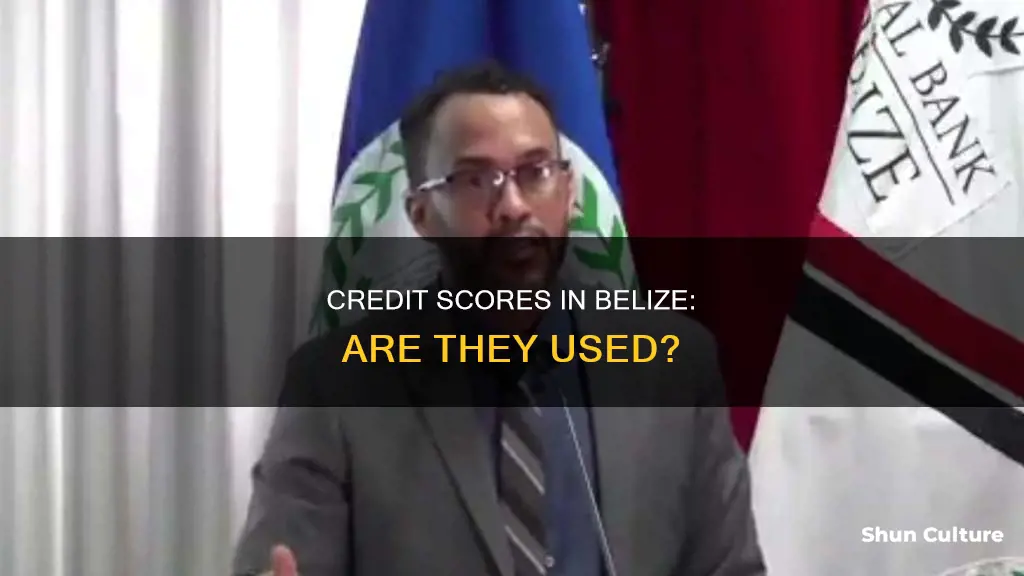 are credit scores used in belize