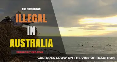 Are Crossbows Legal in Australia? Laws, Restrictions, and Penalties Explained