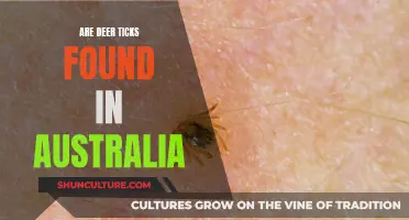 Deer Ticks: An Australian Concern?