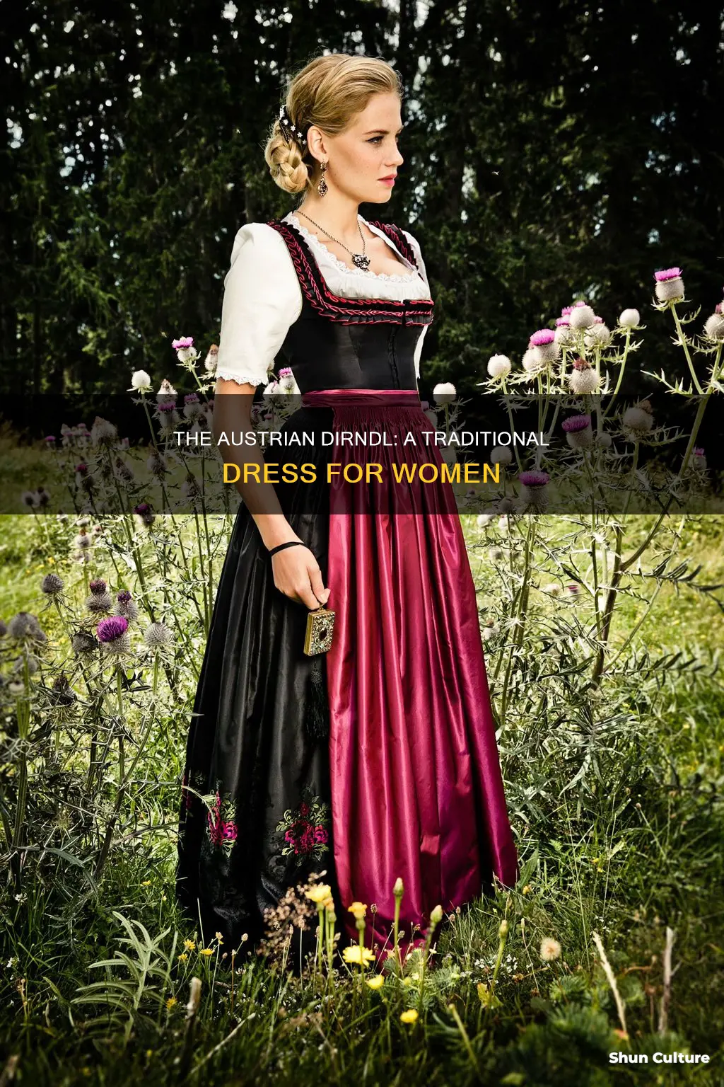 are dirndl dresses worn in austria