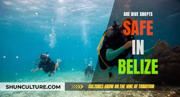 Belize Dive Shops: Safe or Not?