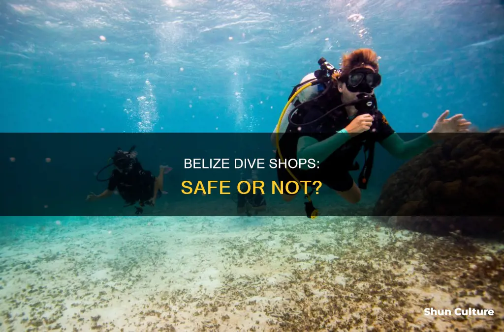 are dive shopts safe in belize