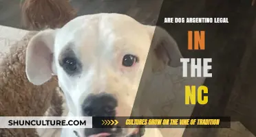 Understanding the Legality of Dog Argentino in North Carolina