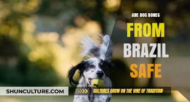 Are Brazilian Dog Bones Safe for Your Pet? A Comprehensive Guide