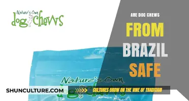 Are Brazilian Dog Chews Safe for Your Pet? A Comprehensive Guide