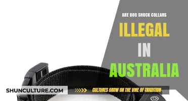 Are Dog Shock Collars Illegal in Australia? Legal Insights