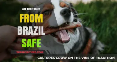 Are Brazilian Dog Treats Safe for Your Pet? A Detailed Look