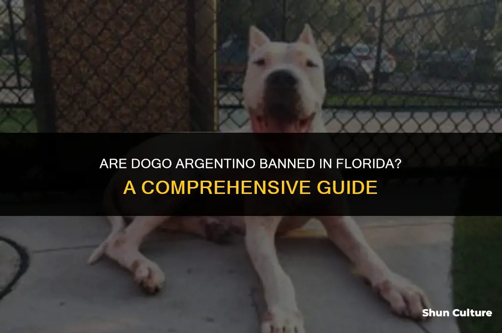 are dogo argentino banned in Florida