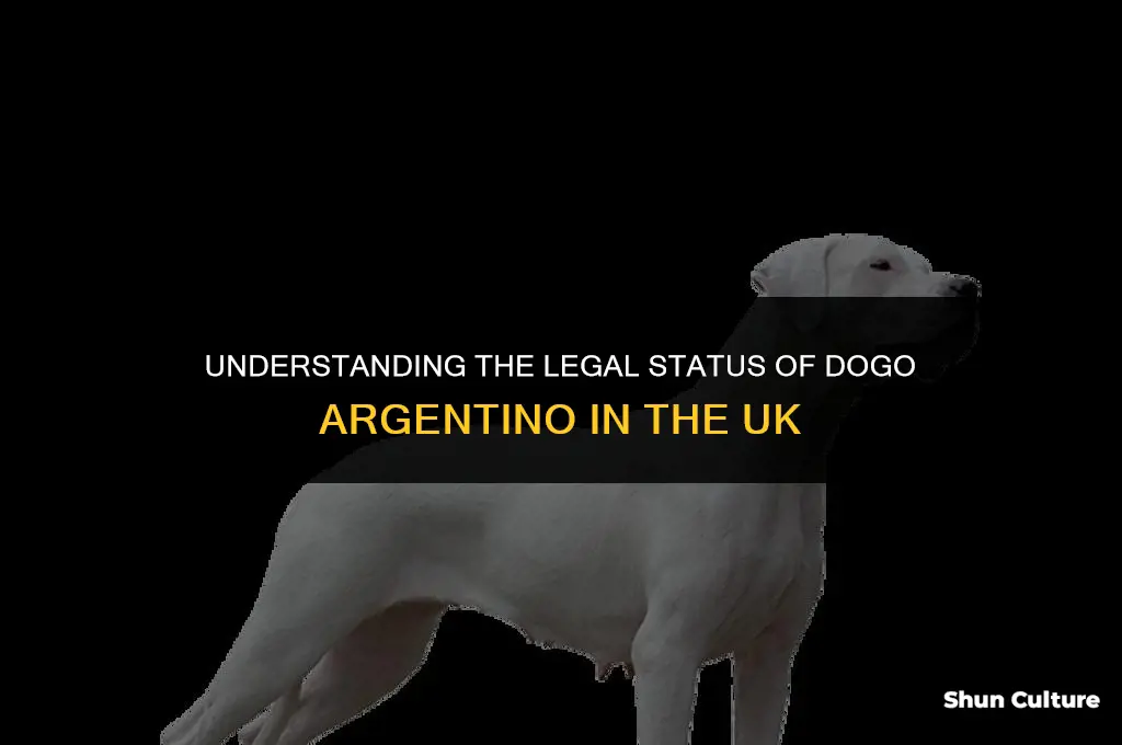 are dogo argentino banned in the uk