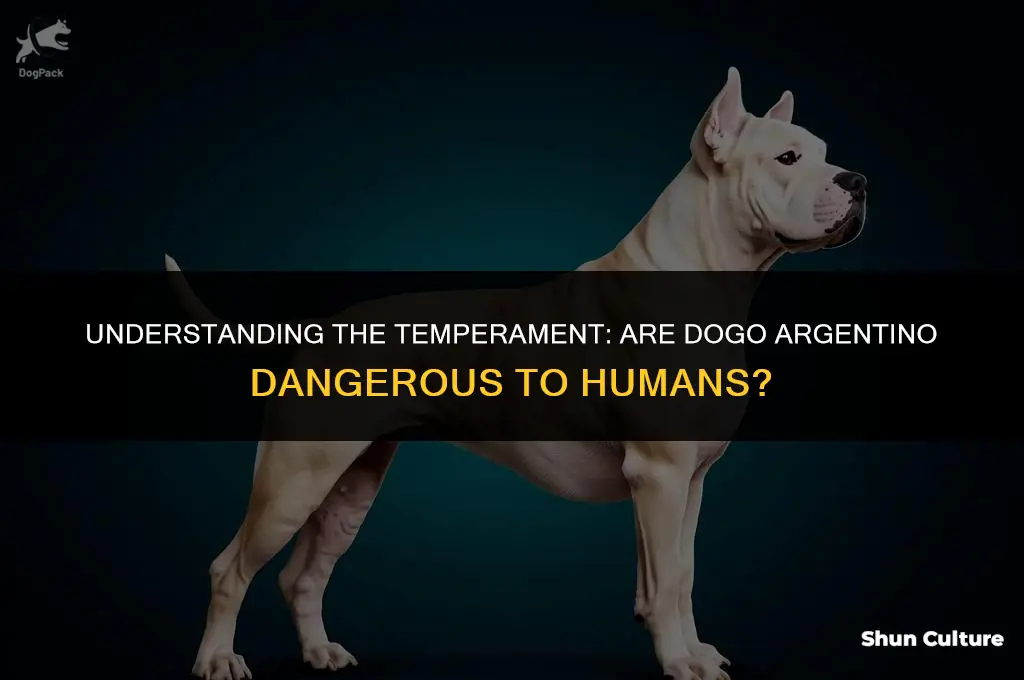 are dogo argentino dangerous to humans