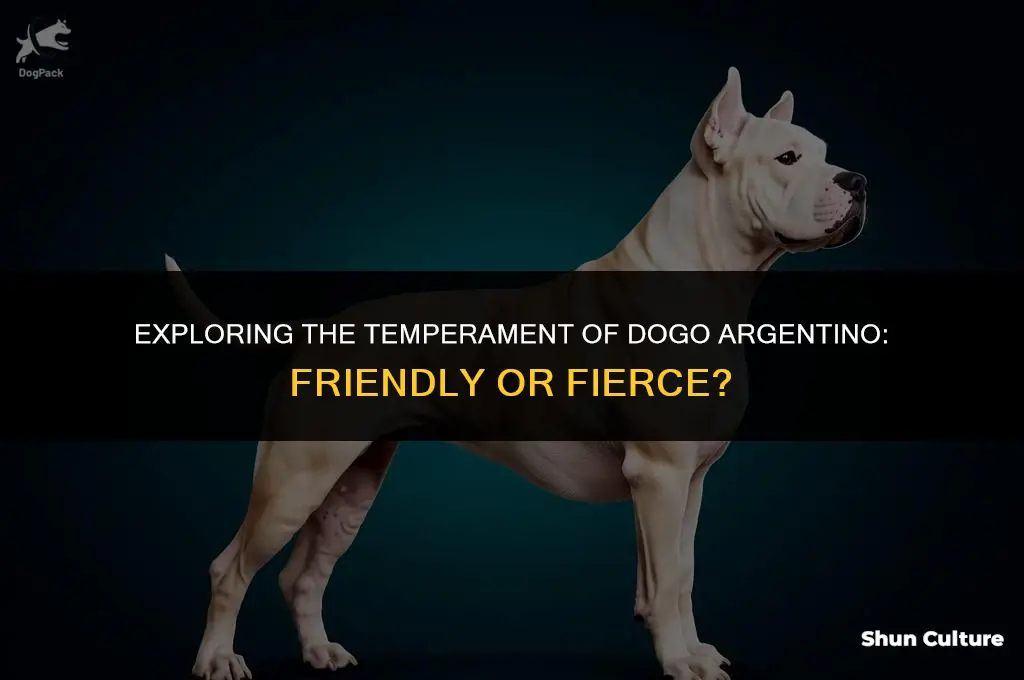 are dogo argentino friendly