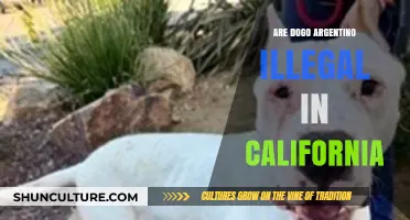 Understanding the Legal Status of Dogo Argentino in California