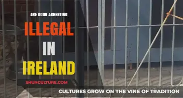 Understanding the Legal Status of Dogo Argentino in Ireland