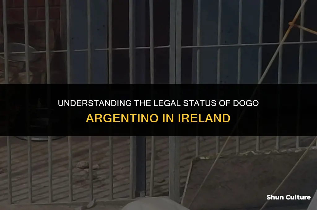 are dogo argentino illegal in ireland