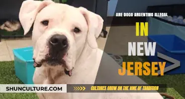 Understanding the Legal Status of Dogo Argentino in New Jersey